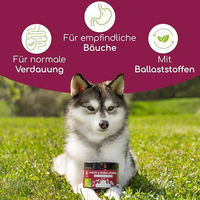 Produktbild von Wolfsbacher Natur Magen & Darm Funktionssnack für Hunde mit präbiotischer Hefe und Kräutern 900g - 3 x 300 g