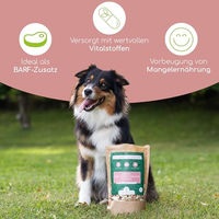 Produktbild von Wolfsbacher Natur Obst Gemüse Kräuter Flocken als Verdauungshilfe für Hunde 500g - 500 x 1 g