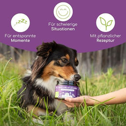 Wolfsbacher Natur Ruhe & Relax Funktionssnack für Hunde mit Baldrian und Johanniskraut 900g - 3 x 300 g – Bild 1 von 5