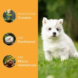 Wolfsbacher Natur Welpen Shampoo pH-neutral für Haut und Fell 100ml - 100 ml – Bild 1 von 4