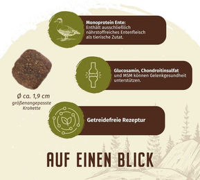 Wolfsblut Hundefutter Wild Duck für große Rassen Adult Getreidefrei 1 kg - 1 kg – Bild 1 von 4
