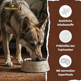 Wolfsblut Wide Plain Adult Hund Nassfutter Pferd Getreidefrei und Glutenfrei 6x395g – Bild 1 von 3