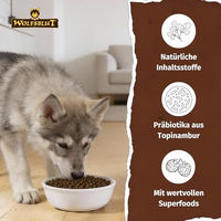 Produktbild von Wolfsblut Wide Plain Puppy Hundetrockenfutter Pferd Getreidefrei 12,5 kg - 12,5 kg