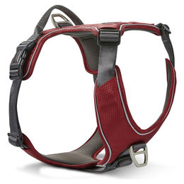 Wolters Active Pro Comfort Hundegeschirr aus Nylon in Rot/Grau Größe 4 – Bild 1 von 2