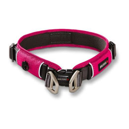 WOLTERS Active Pro Comfort Hundehalsband aus Nylon Magenta Anthrazit 40-45 cm – Bild 1 von 2