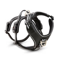 Produktbild von Wolters Active Pro No Escape Hundegeschirr XS Schwarz Silber 45-52.5 cm