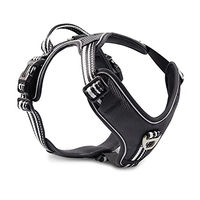 Produktbild von Wolters Active Pro Sportgeschirr für Hunde Beige Schwarz Größe XS 40-47.5 cm aus Polyester