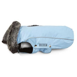 Wolters Amundsen Winterjacke für Hund und Katze Blau Größe 56 cm – Bild 1 von 3