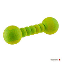 Produktbild von Wolters Aqua-Fun Gym Hundespielzeug aus Naturkautschuk mint 23 cm - 1 Stk.