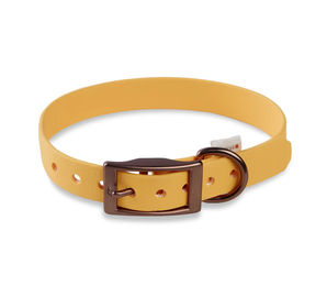 WOLTERS Biothane Halsband für Hunde Gelb wasserabweisend und allergikerfreundlich – Bild 1 von 1