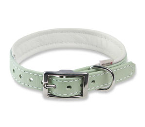 Produktbild von WOLTERS Biothane Halsband für Hunde wasserfest Grün Klein