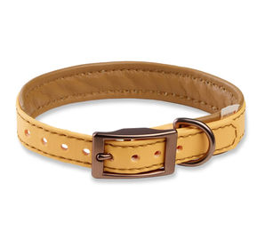 Produktbild von WOLTERS Biothane Halsband für Hunde wasserfest in Beige Größe Klein