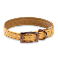 Produktbild von WOLTERS Biothane Halsband für Hunde wasserfest in Beige Größe Klein