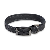 Produktbild von WOLTERS Biothane Halsband für kleine Hunde in Schwarz waterproof