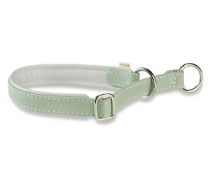 Produktbild von WOLTERS Biothane-Leder Schlupfhalsband für Hunde in Grün waterproof