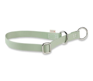 Produktbild von WOLTERS Biothane Schlupfhalsband für Hunde Grün Wasserabweisend