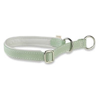 Produktbild von WOLTERS Biothane Schlupfhalsband für Hunde wasserfest Grün Klein