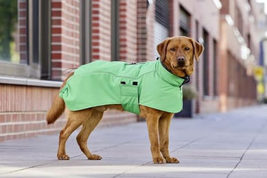 Wolters Cape Adventure Hundejacke wasserdicht gefüttert grün Größe 52 – Bild 1 von 4