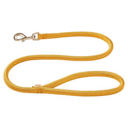 Produktbild von Wolters Cityleine K2 Führleine aus Nylon in Curry Gelb 100 cm x 13 mm