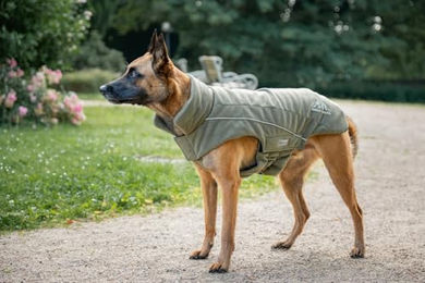 Wolters Dogz-Wear Fleecejacke für Hunde in Grün wasserabweisend – Bild 1 von 3