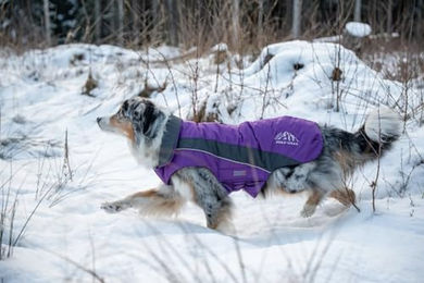 Wolters Dogz-Wear Skijacke für Hunde Wintermantel wasserdicht lila-grau Größe 28 – Bild 1 von 5