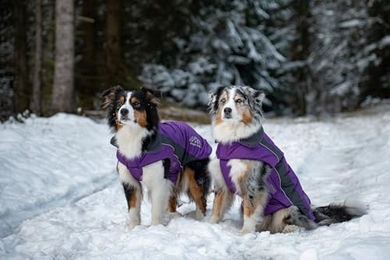 Wolters Dogz-Wear Skijacke Wintermantel für Hunde lila grau waterproof Polyester Größe Mini – Bild 1 von 6