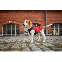 Produktbild von Wolters Easy Rain Regenjacke für Hunde und Katzen in Salbeigrün Größe 70 cm