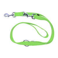Produktbild von Wolters Führleine Basic Standard in Grün L 200 cm x B 2 cm
