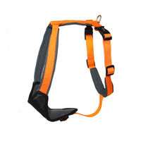 Produktbild von Wolters Geschirr Professional Comfort Mango/Schiefer Größe 2 Breite 25 mm