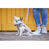 Produktbild von Wolters Hund Winterjacke Parka mit Fellkragen wasserdicht beige 22 cm