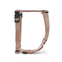 Produktbild von Wolters Hunde-Geschirr Professional XS Gold Beige