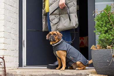 Wolters Hunde Outdoorjacke Modern Classic wasserdicht Grau 48cm – Bild 1 von 2