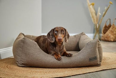 Wolters Hundebett Dream-Well Hope Braun Größe S – Bild 1 von 4