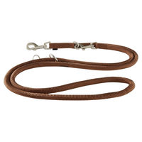 Produktbild von Wolters Hundeführleine K2 extra-lang aus Nylon in Braun 300 cm x 13 mm - 3 m