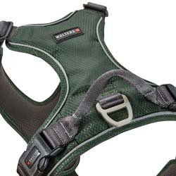 WOLTERS Hundegeschirr Active Pro Comfort grün anthrazit Breite 1,5 cm Brustumfang 45-52 cm – Bild 1 von 2