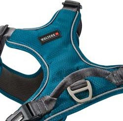 Produktbild von WOLTERS Hundegeschirr Active Pro Comfort petrol anthrazit Breite 2,5 cm Brustumfang 80-95 cm