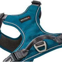 Produktbild von WOLTERS Hundegeschirr Active Pro Comfort petrol anthrazit Breite 2,5 cm Brustumfang 80-95 cm