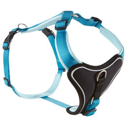 Produktbild von Wolters Hundegeschirr Professional Comfort aus Nylon in Aqua/Azur Blau Größe 3 mit 30 mm Breite