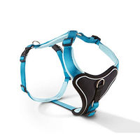 Produktbild von Wolters Hundegeschirr Professional Comfort aus Nylon in Aqua/Azur mit Brustumfang 90 - 110 cm