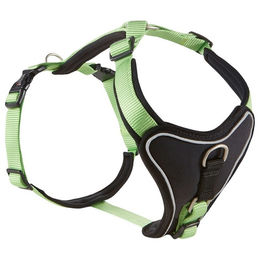 Produktbild von Wolters Hundegeschirr Professional Comfort aus Nylon in Grün Schwarz Größe 5 mit 35 mm Breite
