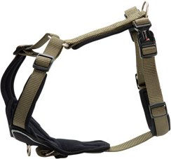 WOLTERS Hundegeschirr Professional Comfort Nylon wasserabweisend Grün Schwarz XL – Bild 1 von 4