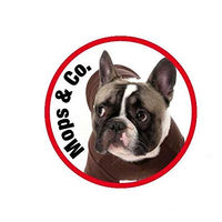 Produktbild von WOLTERS Hundegeschirr Professional Graphit Größe XL 55-80cm