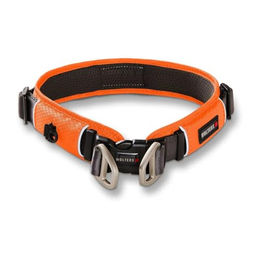 Wolters Hundehalsband Active Pro Comfort aus Nylon in Rot Orange Grau – Bild 1 von 3