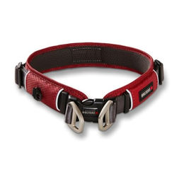 Wolters Hundehalsband Active Pro Comfort aus Nylon rot grau 35-40 cm – Bild 1 von 2