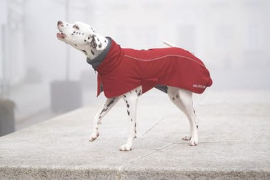 Wolters Hundejacke Cape Adventure waterproof Winterjacke für Hunde rot Größe 32 – Bild 1 von 3