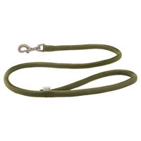 Produktbild von Wolters K2 Cityleine Hundeleine aus Nylon in Grün 100 cm x 1,3 cm - 1 Stk.