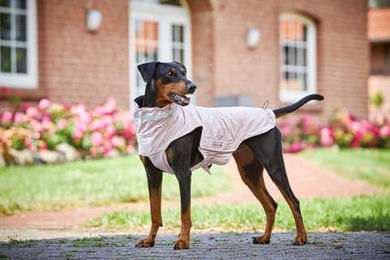 Wolters Outdoorjacke Modern Classic rosa wasserabweisend mit Polyesterfütterung Größe 32 – Bild 1 von 2