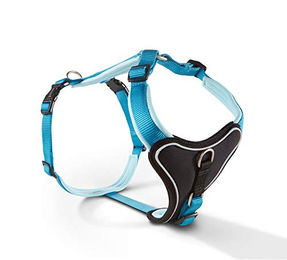 Wolters Professional Comfort Hundegeschirr aus Nylon in Aqua/Azur mit Brustumfang 30-35 cm – Bild 1 von 2