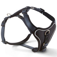 Produktbild von Wolters Professional Comfort Hundegeschirr aus Nylon in Graphit/Schwarz Größe XXL