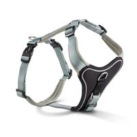 Produktbild von Wolters Professional Comfort Hundegeschirr aus Nylon in Grün Größe S 40-45 cm